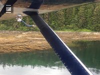 What a smooth landing.  Just like a speed boat slowing down.