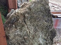 This awesome metamorphic boulder was next to the lodge's porch.