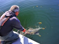 Measuring to make sure it was 44" or under.