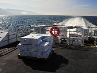 Each box held 50lbs of fish fillets.