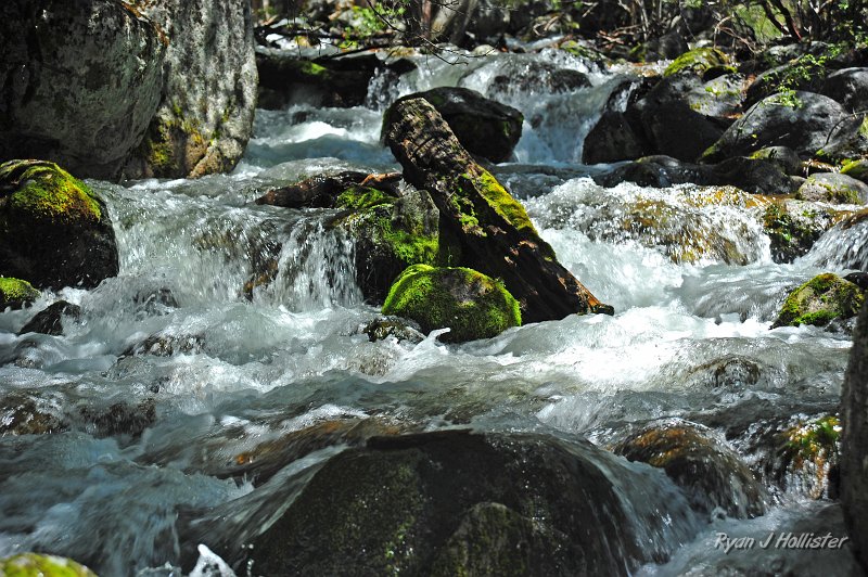 RJH_2464.JPG - I love running water.