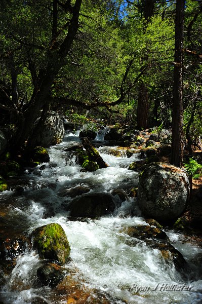 RJH_2468.JPG - Kibbie Creek