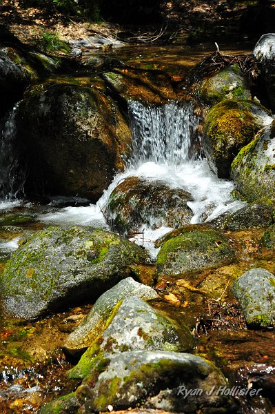 RJH_2483.JPG - Along the way up, many tiny offshoots of the cascades created photogenic resting spots.
