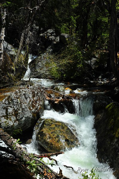 RJH_2486.JPG - The water was rip-roarin' down the alluvium.