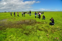 RJH 1502 : vernal pool